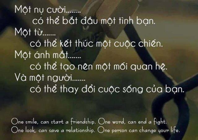 stt tình bạn