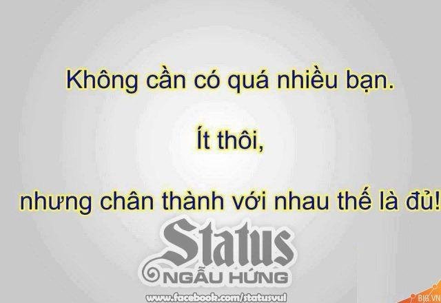 stt tình bạn
