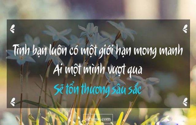 stt tình bạn