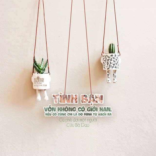 stt tình bạn