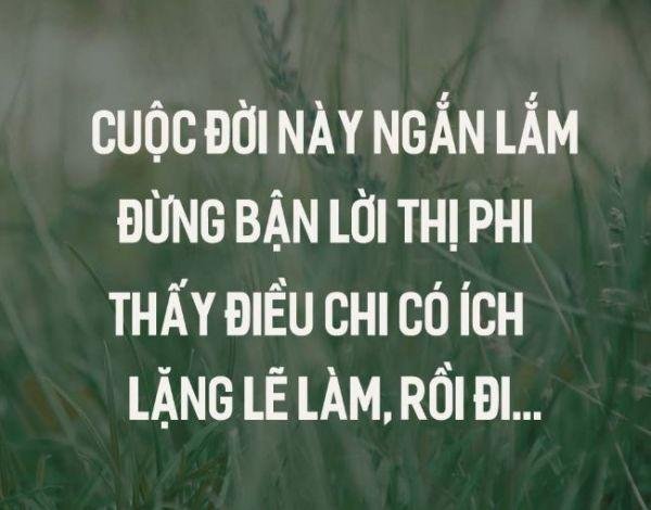 Nhung Cau Noi Hay Ve Cuoc Song Ngan 