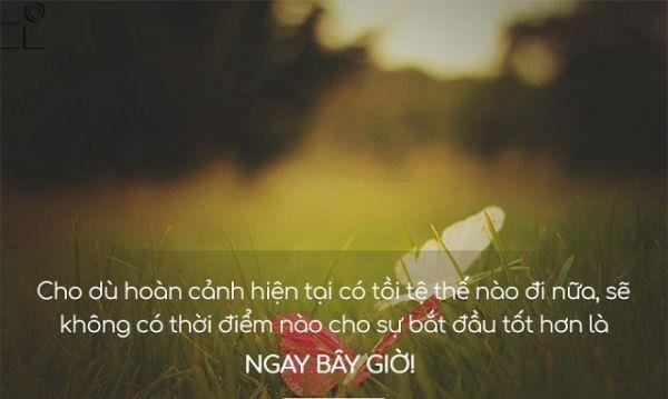 Stt Hay Ve Cuoc Song 17