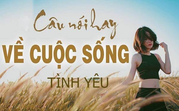 Những câu nói hay về cuộc sống và tình yêu