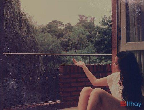  Status viết cho những cơn mưa đầu tháng 7 về hòa quyện cùng nỗi buồn ngự trị