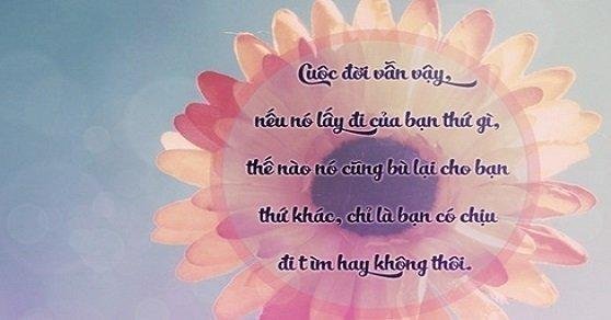 nhung-cau-noi-hay-ve-cuoc-song-2