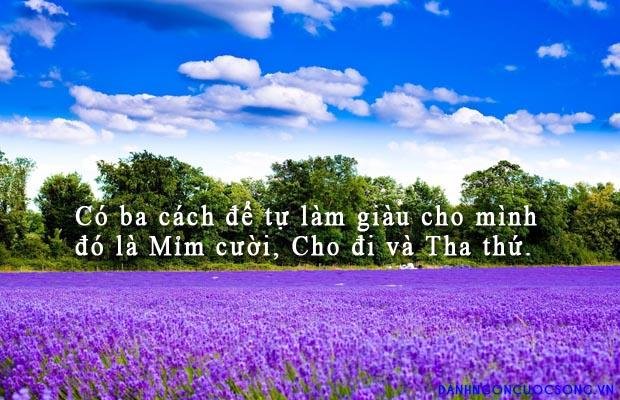 nhung-cau-noi-hay-ve-cuoc-song-4