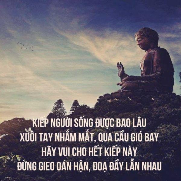 Stt Cuoc Doi 
