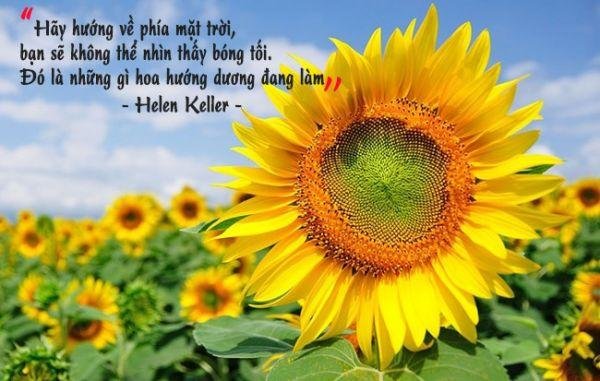 Nhung Cau Noi Ve Su Co Gang Vuon Len 5