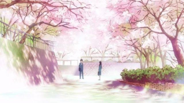 Những câu nói hay trong anime về tình yêu, tình bạn