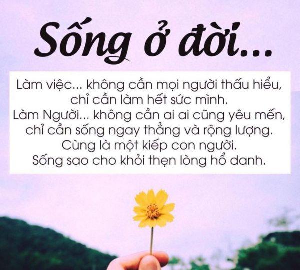 Nhung Cau Noi Hay Ve Cuoc Song Ngan Gon 5