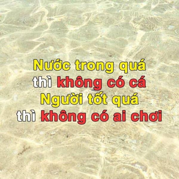 Nhung Cau Noi Hay Ve Long Nguoi 6