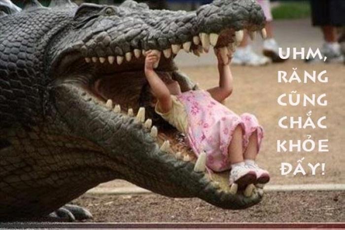 nhung-hinh-anh-hai-huoc-va-ngo-nghinh-nhat-viet-nam-fecd02 Những hình ảnh hài hước và ngộ nghỉnh nhất Việt Nam - Hình 6