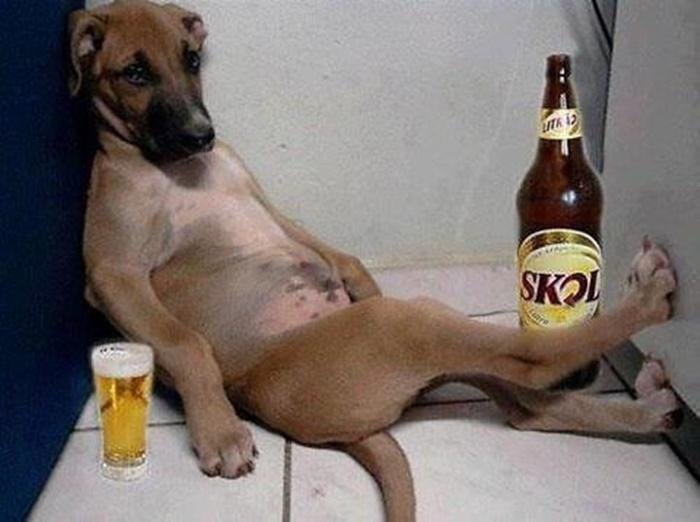 nhung-hinh-anh-hai-huoc-va-ngo-nghinh-nhat-viet-nam-4e7941-5 Những hình ảnh hài hước và ngộ nghỉnh nhất Việt Nam - Hình 9