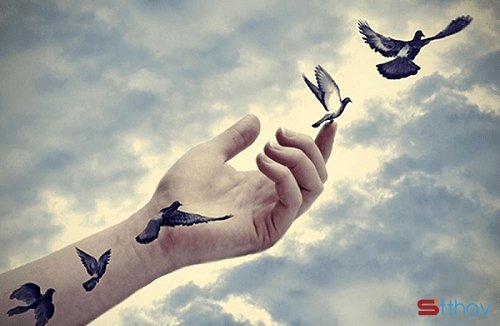 Buông bỏ là cách giải thoát bản thân ra khỏi những đau khổ tình yêu