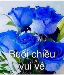 chuc-buoi-chieu-vui-ve-2