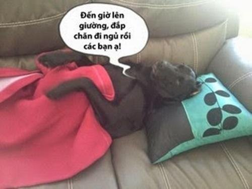 chuc-buoi-toi-vui-ve-15