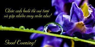 chuc-buoi-toi-vui-ve-2