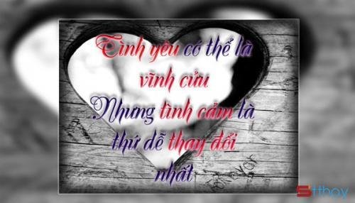 Đôi dòng Stt suy tư về sự đổi thay của lòng người