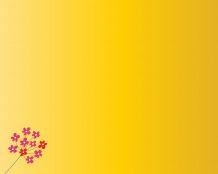 hinh-nen-powerpoint-don-gian-26-218x174-1 hinh-nen-powerpoint-19