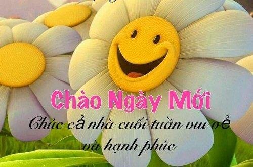 loi-chuc-ngay-moi-bang-hinh-anh