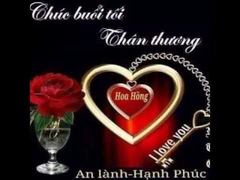 hqdefault-1-1-1 nhung-cau-chuc-buoi-toi-1