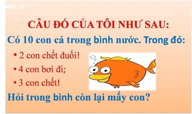 những câu đố có đáp án-8