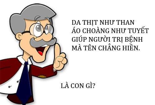 những câu đố vui-1