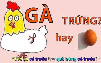 những câu đố vui-3