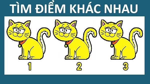những câu đố xàm-4