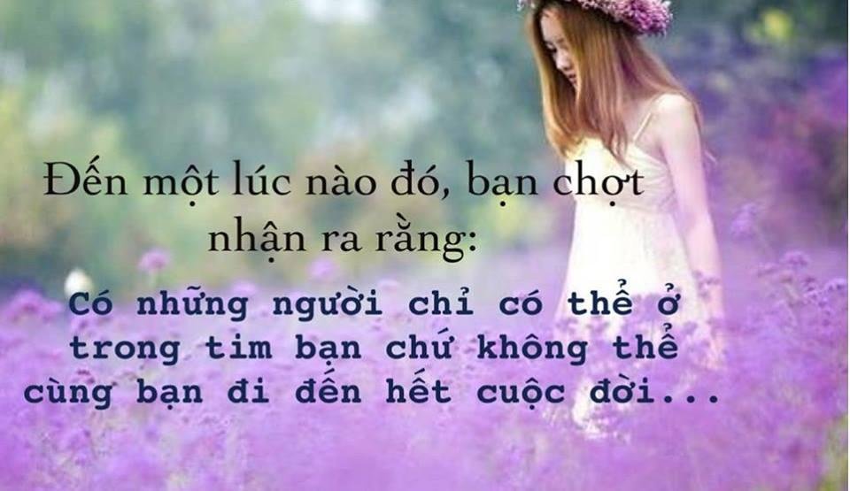 nhung-cau-noi-bat-hu-2