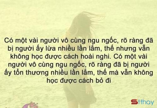 Những Stt buồn nhất về sự ngốc nghếch trong tình yêu  