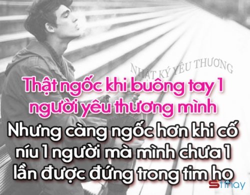 Những Stt buồn nhất về sự ngốc nghếch trong tình yêu  