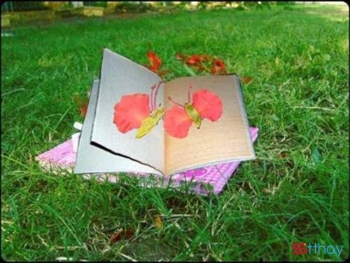 Những Stt cảm xúc bâng khuâng Tháng 5 là gì trong mỗi chúng ta?