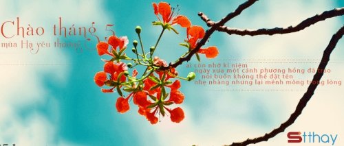 Những Stt cảm xúc bâng khuâng Tháng 5 là gì trong mỗi chúng ta?