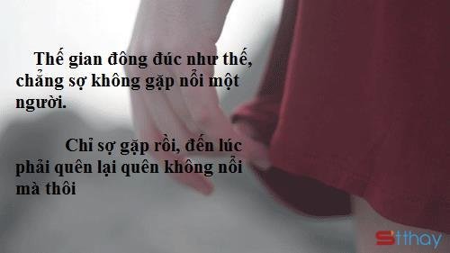 Những Stt thú nhận - Hóa ra em luôn tự lừa mình đã quên anh… 