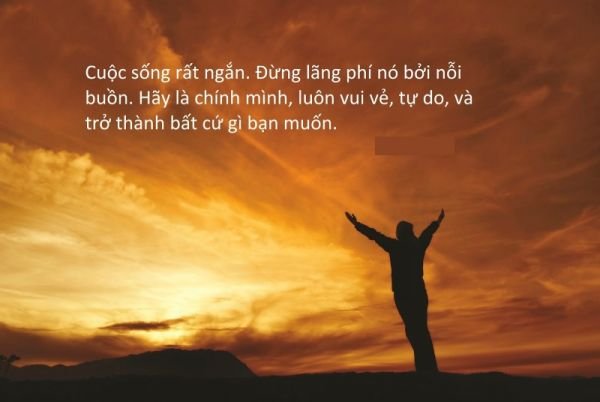 Những câu nói hay về cảm xúc cực ý nghĩa về cuộc sống 
