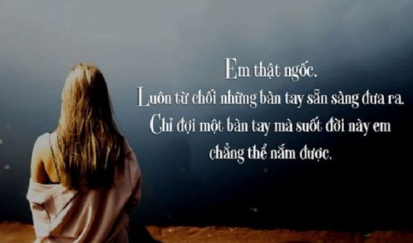 Những câu nói hay về cảm xúc cực ý nghĩa về cuộc sống 