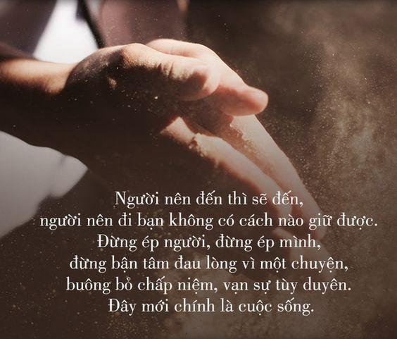 Nhung Cau Noi Hay Ve Doi Nhan Xu The 