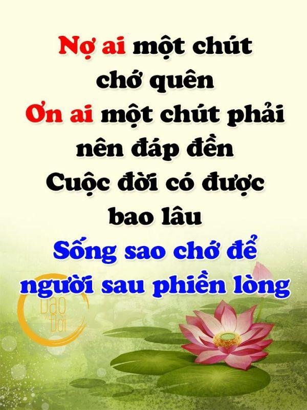 Nhung Cau Noi Hay Ve Doi Nhan Xu The 5