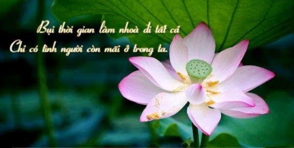 Nhung Cau Noi Hay Ve Gia Tri Cuoc Song 