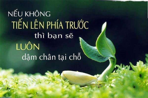 Những câu nói hay về sự thay đổi giúp ích cho cuộc sống của bạn 