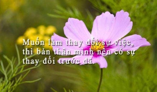 Những câu nói hay về sự thay đổi giúp ích cho cuộc sống của bạn 
