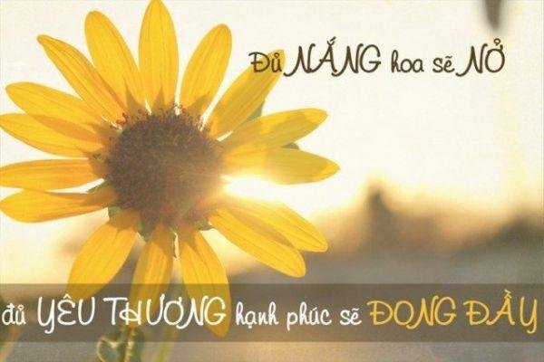 Những câu nói hay về tình cảm khiến trái tim bạn rung động 