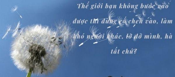 Những câu nói hay về triết lý sống làm thay đổi cuộc đời bạn 