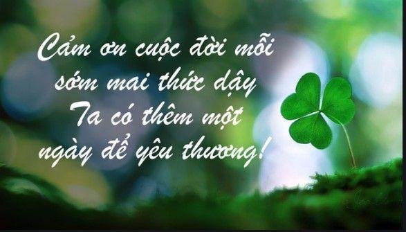 Những câu nói hay về triết lý sống làm thay đổi cuộc đời bạn 