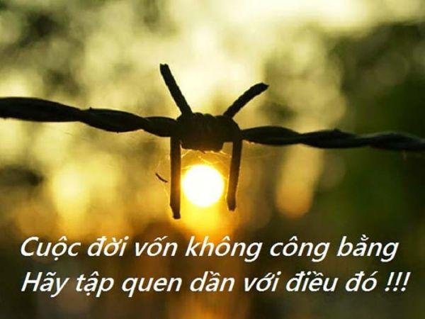 Những câu nói hay về triết lý sống làm thay đổi cuộc đời bạn 