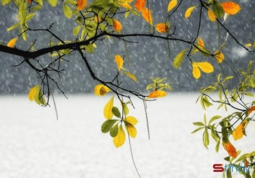 Những câu nói về nắng, về mưa, về cảm xúc lẫn lộn trong ngày mua thu