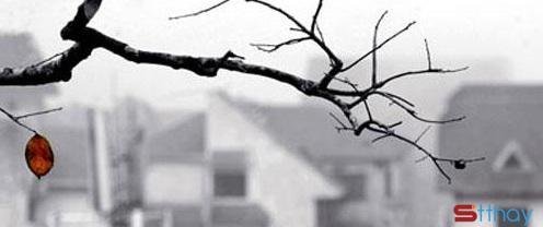 Những dòng status chênh vênh... chớm đông lặng lẽ