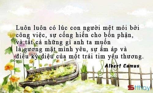 Những status đầy sâu sắc về sự trưởng thành- bước ngoặt mà ai cũng phải đi qua