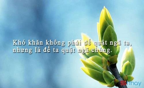 Những status động viên an ủi khi chúng ta thất vọng